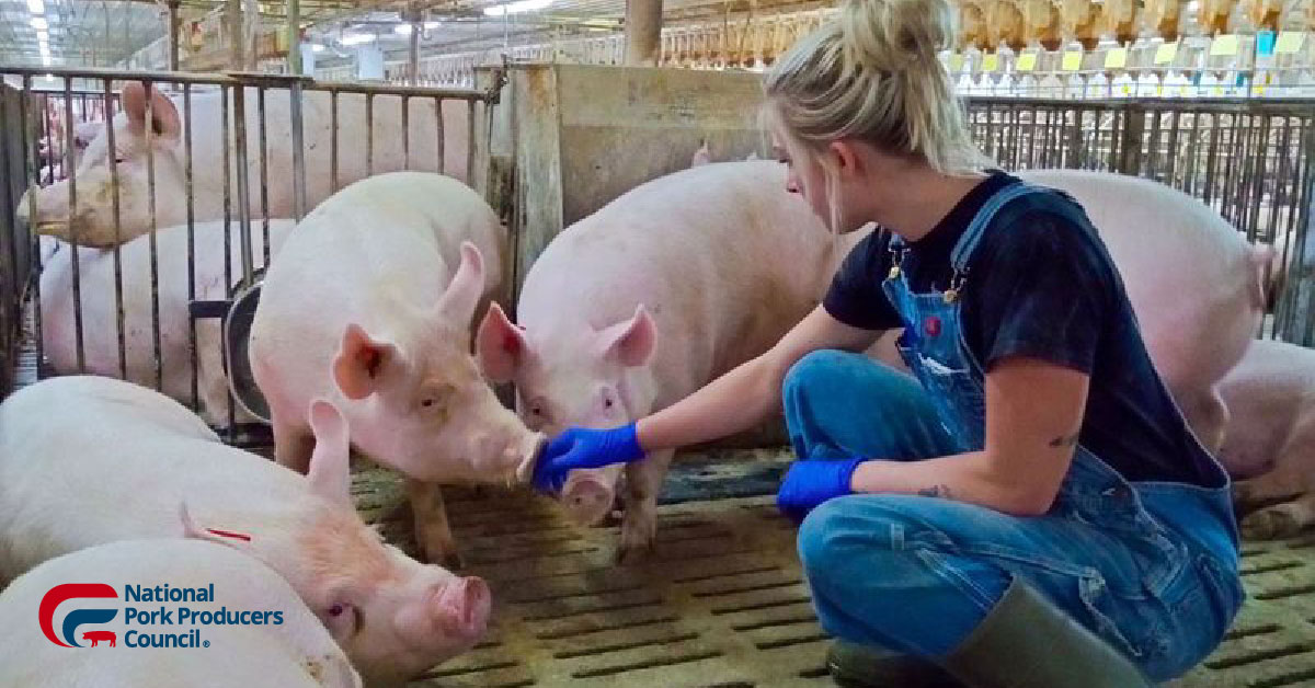 Protect Family Farms. Stop CA Prop 12